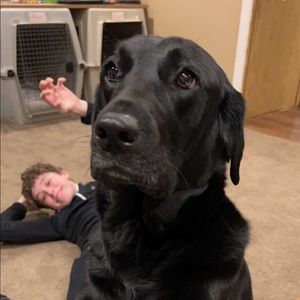 Meet your Posher, Logan